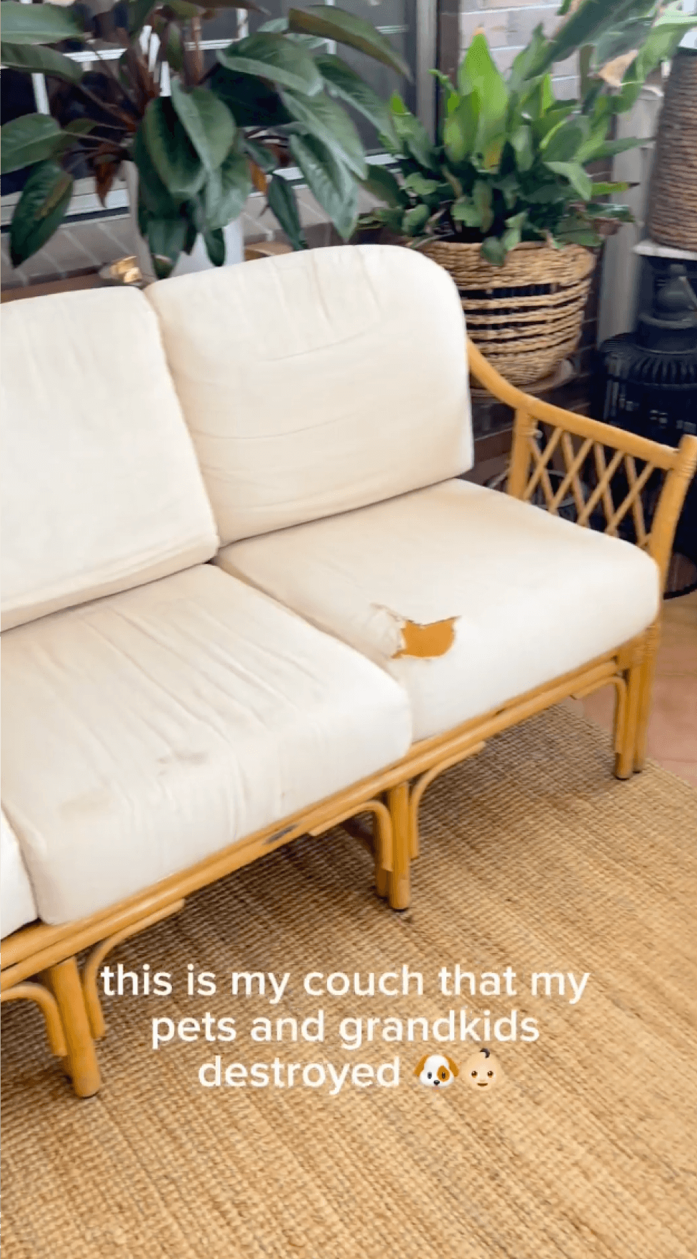 Performance+ Couch Covers