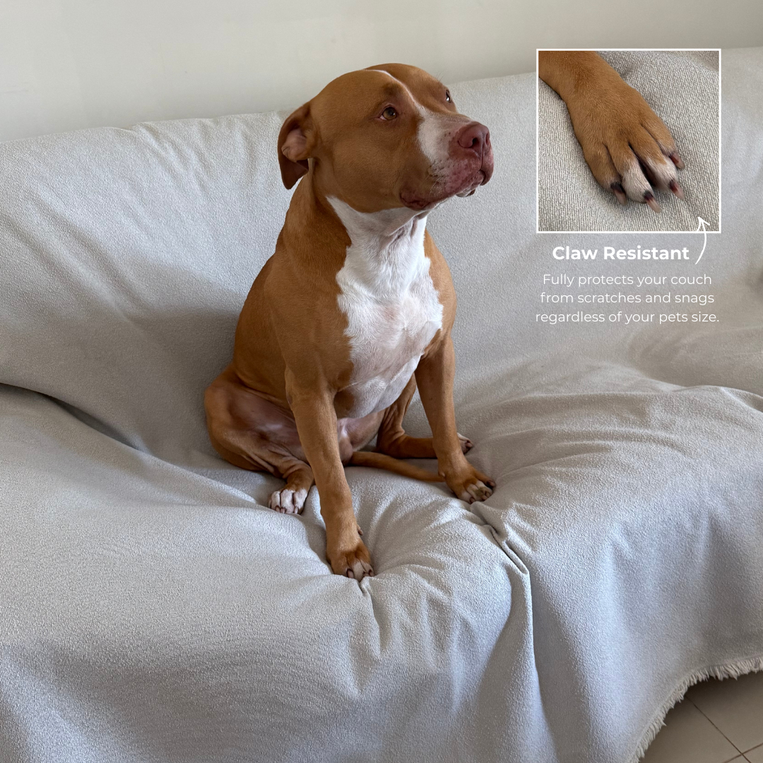 The Couch Throw Protector - Performance+ Boucle
